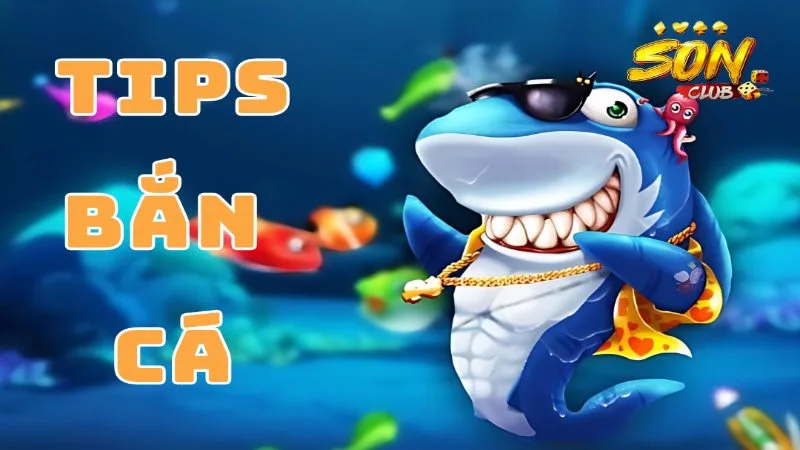 Một số tips để anh em áp dụng khẳng định hiệu quả