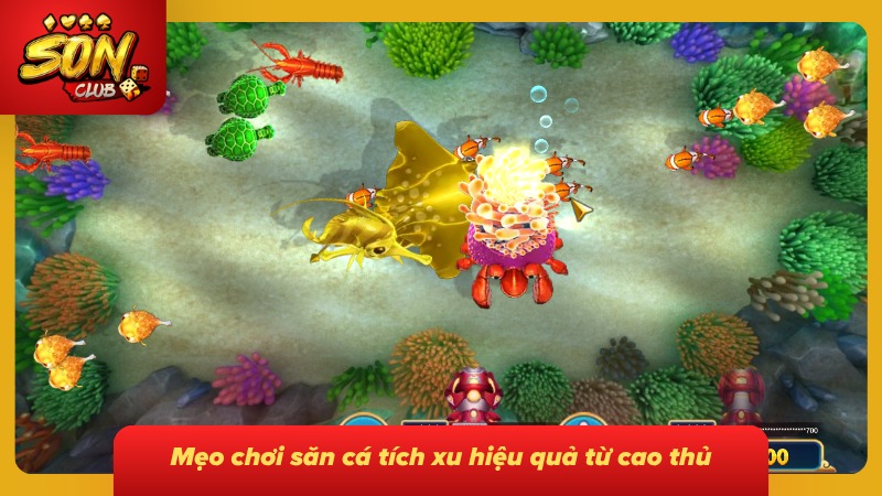 Mẹo tăng xu cực kỳ dễ cùng bet lão làng