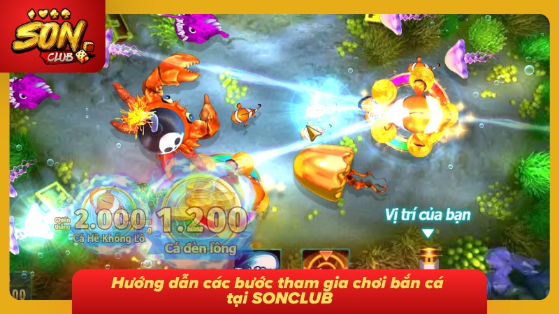 Các bước tham gia săn bắt cá cực dễ dàng cho người mới