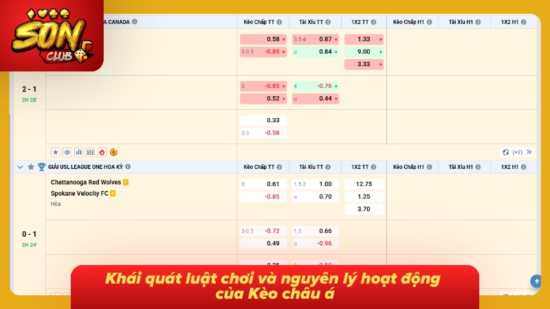 Nắm sai bản chất sẽ khiến toàn bộ vốn liếng bay màu nhanh chóng 