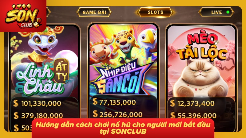 Hướng dẫn cực đơn giản cho hội viên mới tham gia